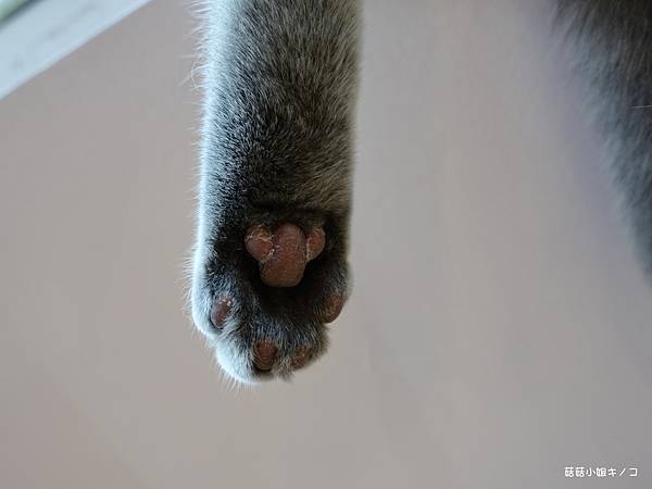 DSC04238.JPG DSC04238.JPG