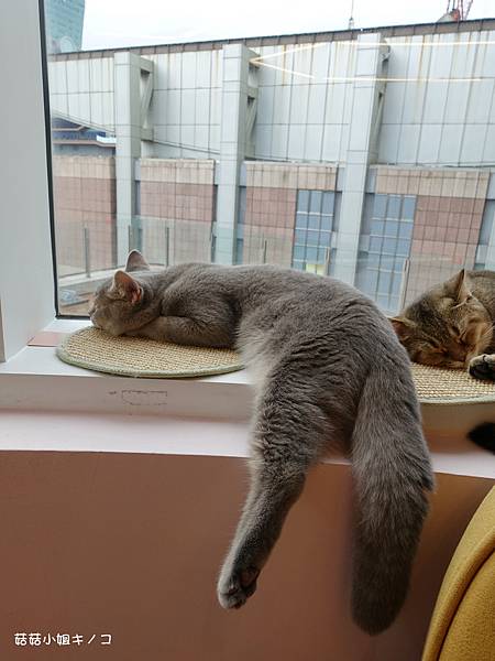 DSC04243.JPG DSC04243.JPG