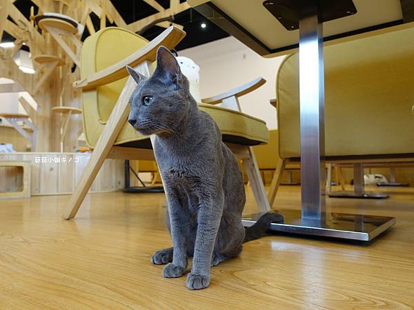 DSC04246.JPG DSC04246.JPG