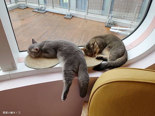 DSC04240.JPG DSC04240.JPG