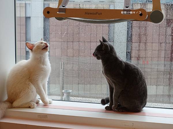 DSC04251.JPG DSC04251.JPG