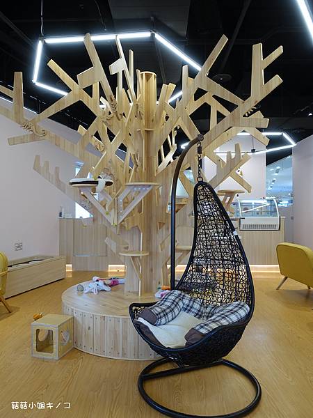 DSC04255.JPG DSC04255.JPG