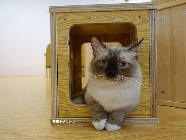 DSC04257.JPG DSC04257.JPG