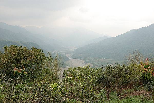 DSC_1575s.jpg DSC_1575s.jpg