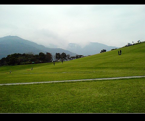 3115.jpg 3115.jpg