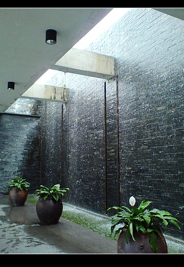 3119.jpg 3119.jpg