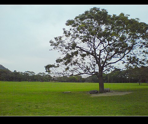 3123.jpg 3123.jpg