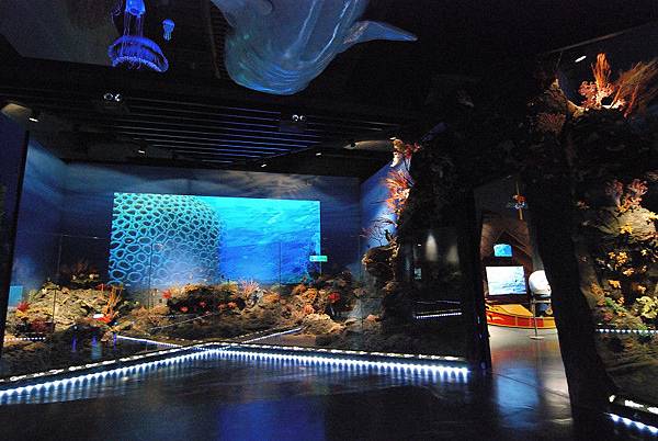 DSC_9789s.jpg DSC_9789s.jpg