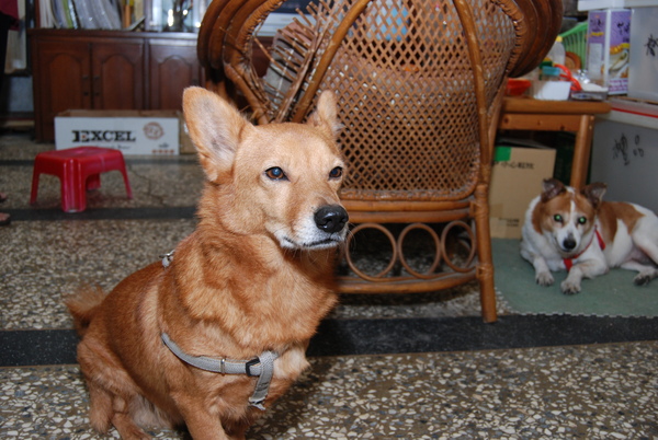 DSC_9375.JPG DSC_9375.JPG