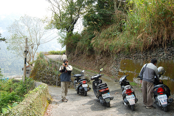 DSC_1196.jpg DSC_1196.jpg