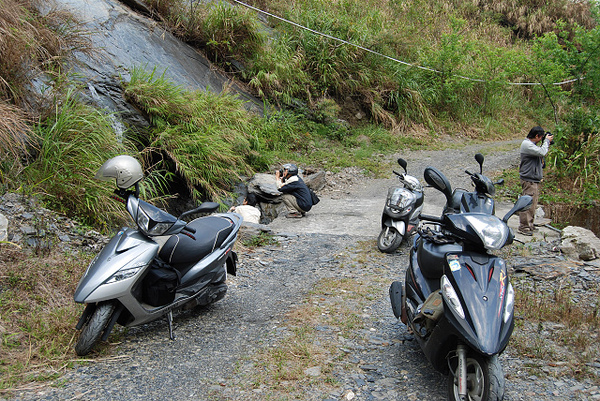 DSC_1213.jpg DSC_1213.jpg