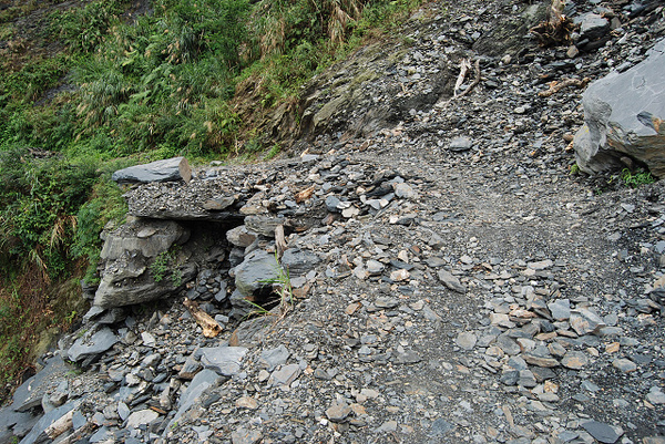 DSC_1235.jpg DSC_1235.jpg