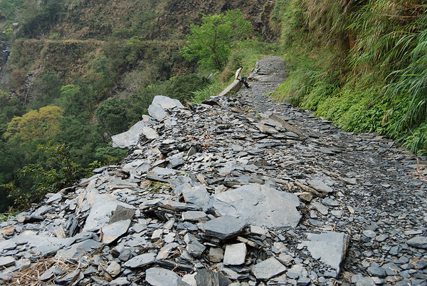 DSC_1240.jpg DSC_1240.jpg