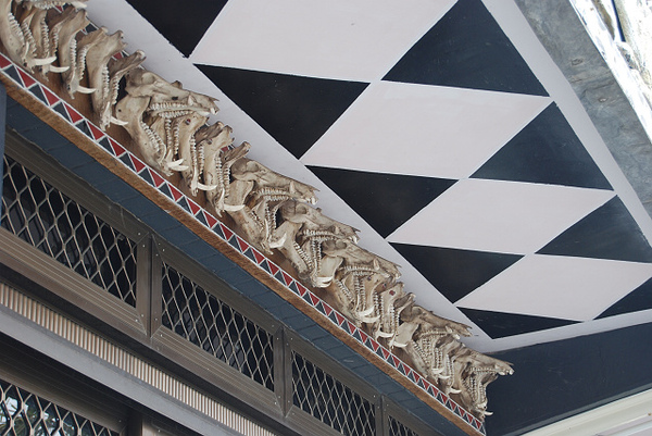 DSC_1345.jpg DSC_1345.jpg