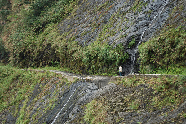 DSC_1230.jpg DSC_1230.jpg