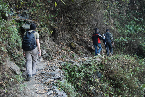 DSC_2231.JPG DSC_2231.JPG
