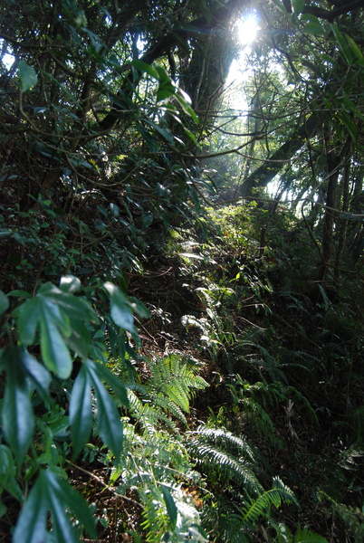 DSC_2460.JPG DSC_2460.JPG