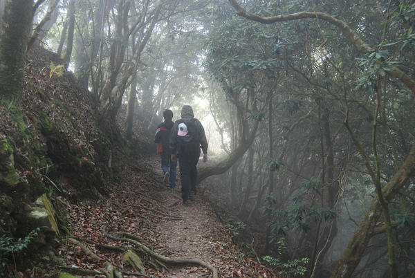 DSC_2465.JPG DSC_2465.JPG