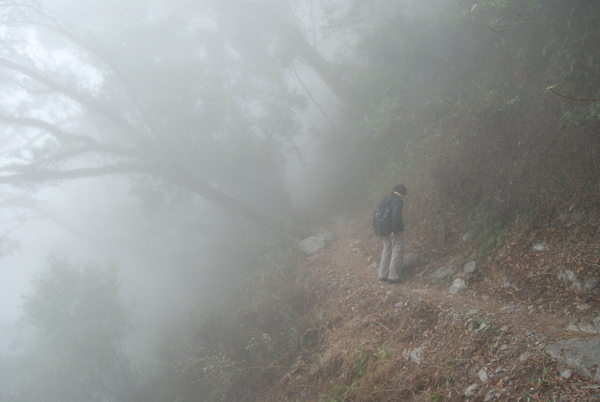 DSC_2556.JPG DSC_2556.JPG