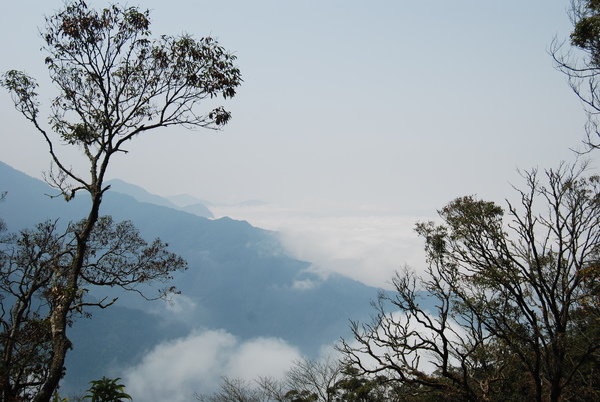 DSC_2293.JPG DSC_2293.JPG