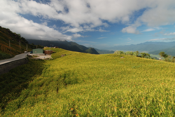 DSC_9137.JPG DSC_9137.JPG