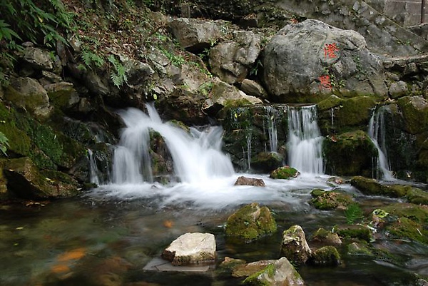 DSC_5990.JPG DSC_5990.JPG
