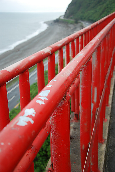 DSC_10113.jpg DSC_10113.jpg