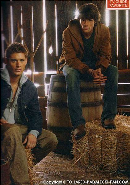 Jensen-jensen-ackles-21694497-491-700.jpg