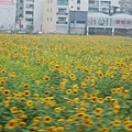 2006_12310021.JPG