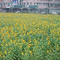 2006_1231