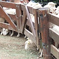 2006_12310028.JPG