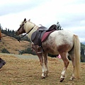 2006_12310029.JPG