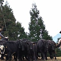 2006_12310032.JPG