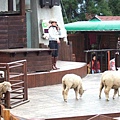 2006_12310041.JPG