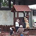 2006_12310042.JPG