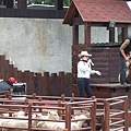 2006_12310047.JPG