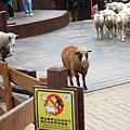 嘿!跟我來