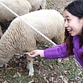 2006_12310072.JPG