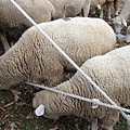 2006_12310073.JPG