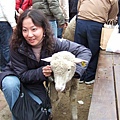 2006_12310069.JPG