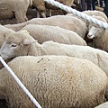 2006_12310074.JPG