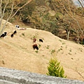 2006_12310008.JPG