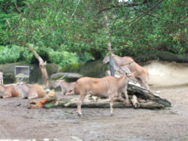 2007_07050080.JPG