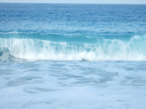 DSCF4142.JPG