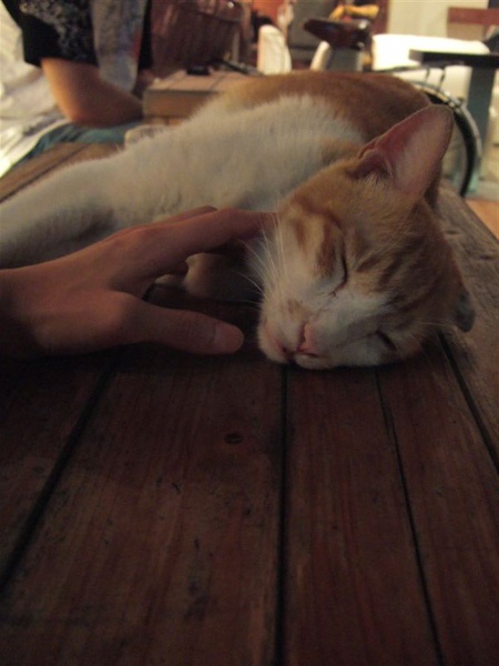 DSCF4634.JPG