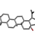 白樺脂醇分子圖1.jpg