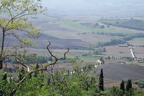 DSC05242.jpg DSC05242.jpg