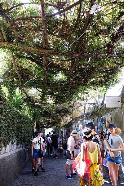 DSC03747.jpg DSC03747.jpg