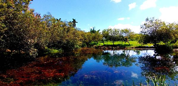 20190629-03.jpg 20190629-03.jpg