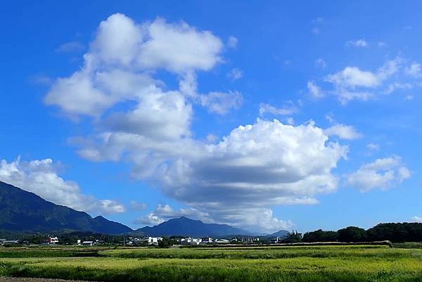 20190630-09.jpg 20190630-09.jpg